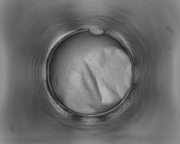 X0000113260795200909241521