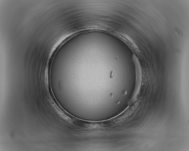 X0000113260796200909241521