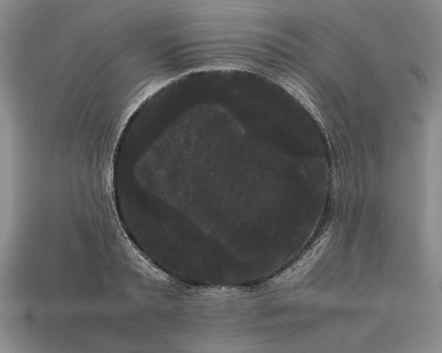 X0000113260797200909241521