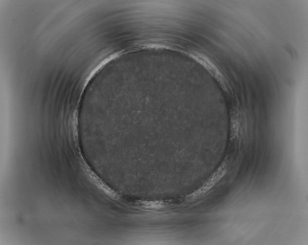 X0000113260798200909241521