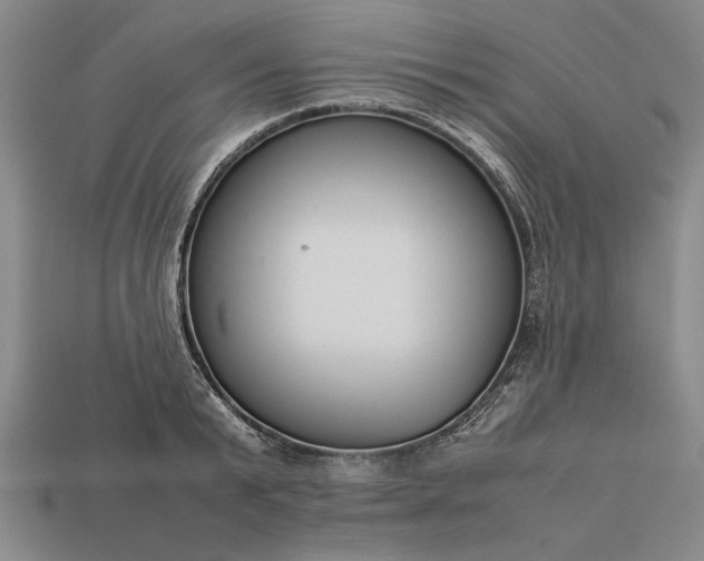 X0000113260799200909241521