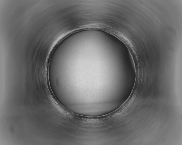 X0000113260800200909241521