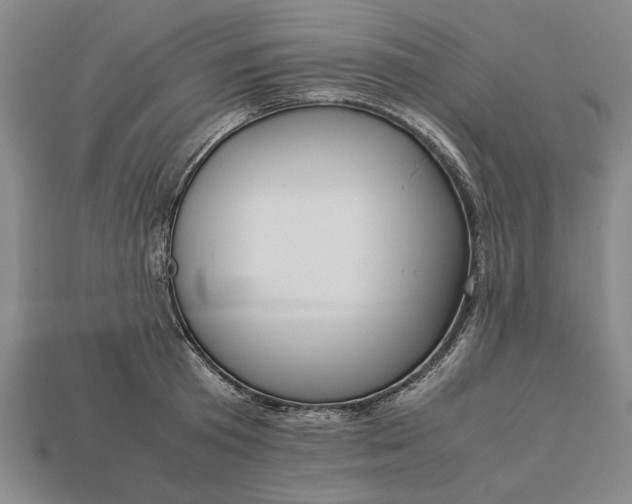 X0000113260801200909241521