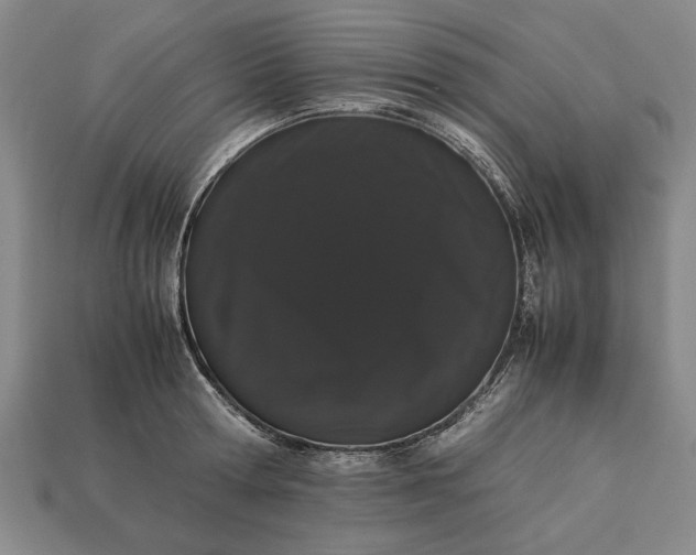 X0000113260802200909241521