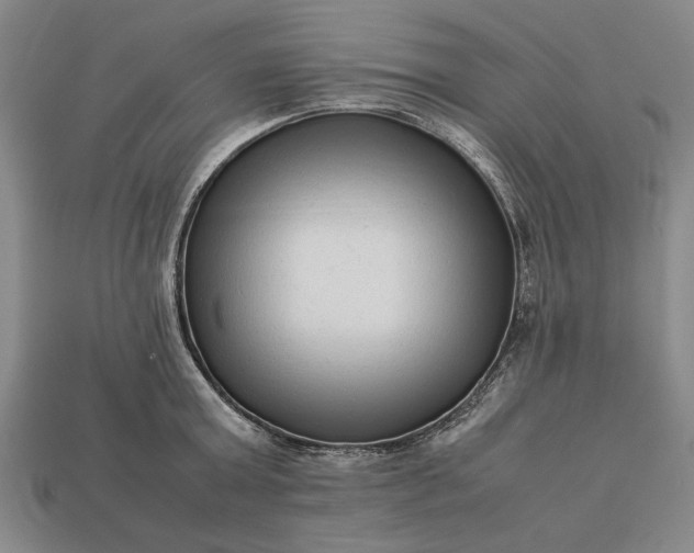 X0000113260803200909241521