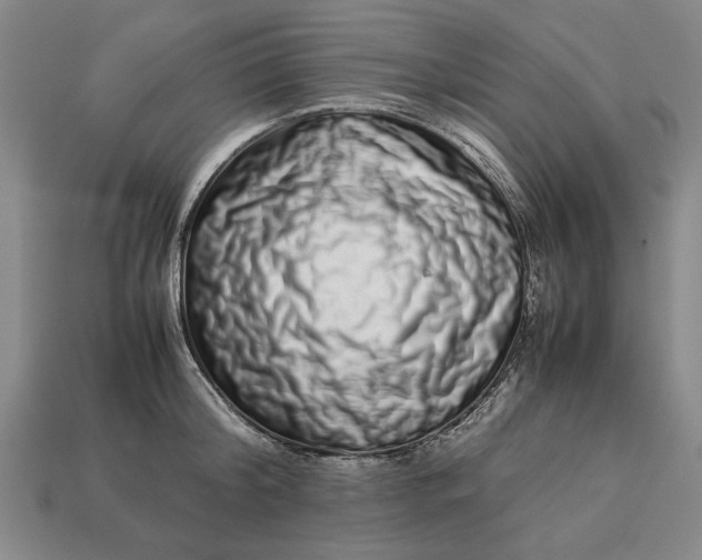 X0000113260804200909241521