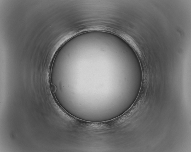 X0000113260805200909241521