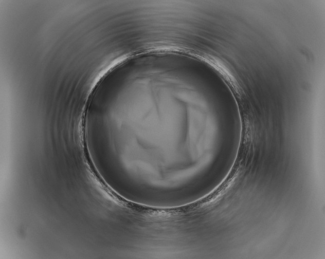 X0000113260806200909241521