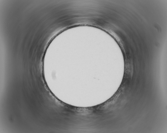 X0000113260807200909241521