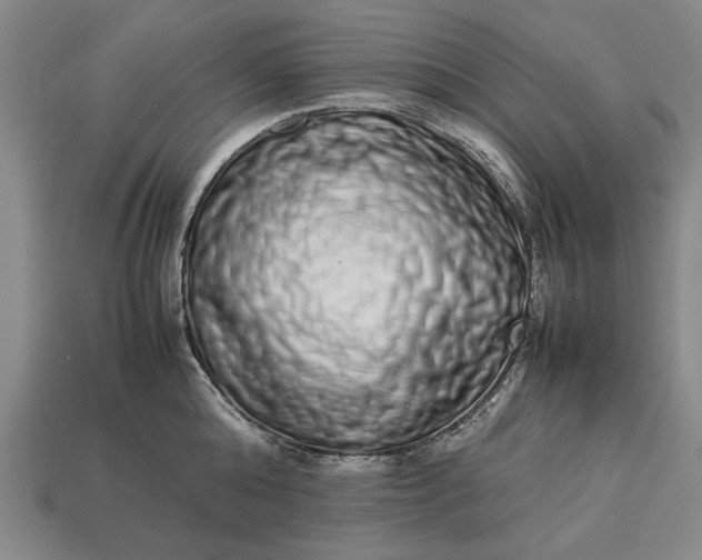 X0000113260808200909241521