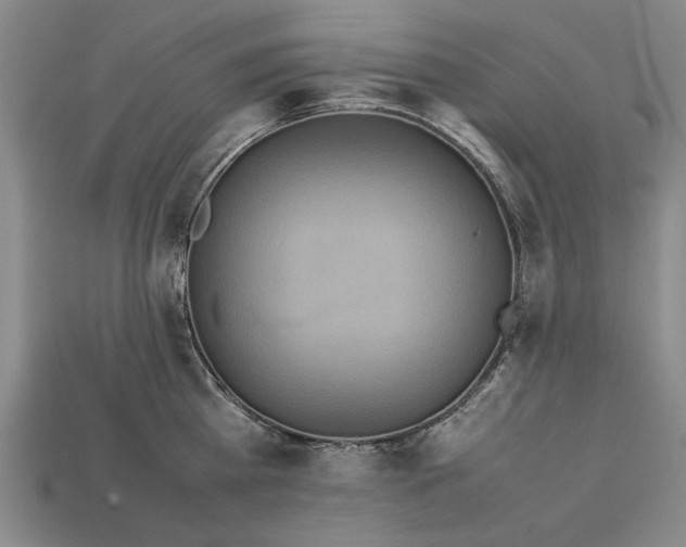 X0000113260809200909241521