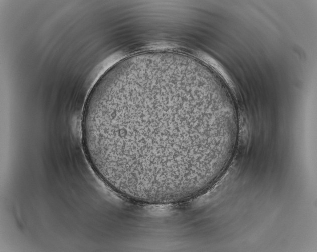 X0000113260810200909241521