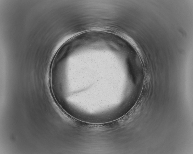 X0000113260811200909241521