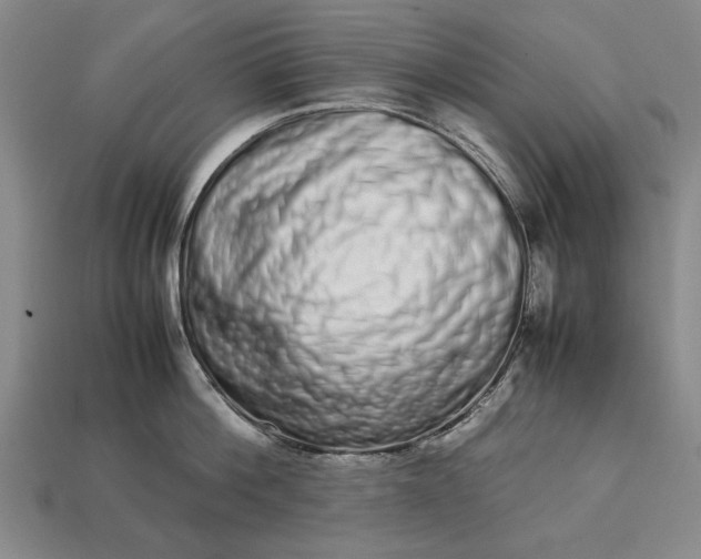 X0000113260812200909241521