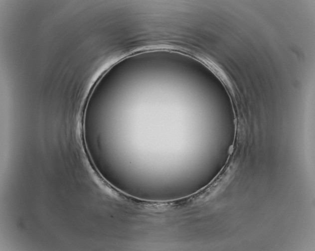 X0000113260813200909241521