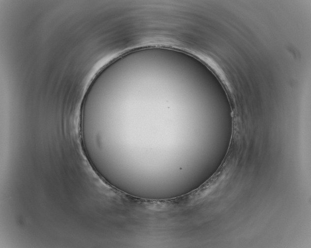 X0000113260815200909241521