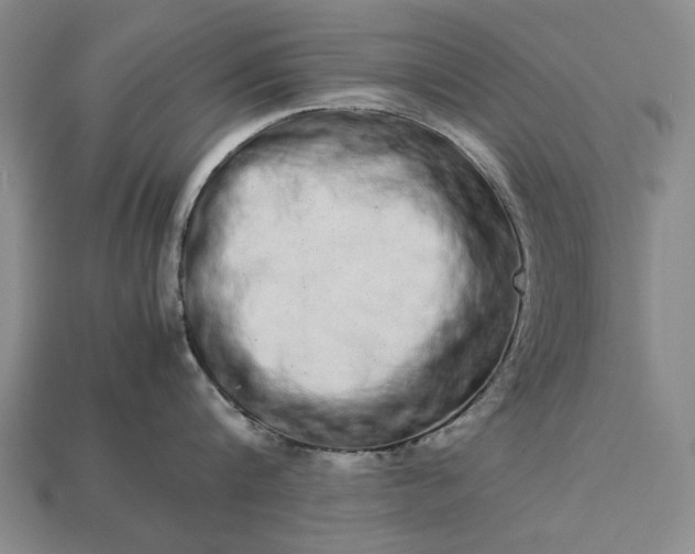 X0000113260816200909241521