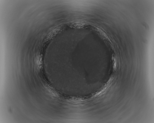 X0000113260818200909241520