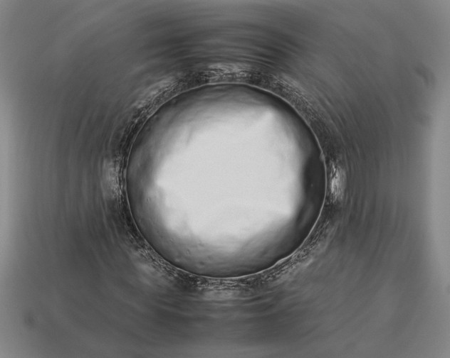 X0000113260819200909241520