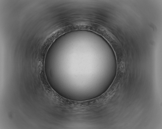 X0000113260821200909241520