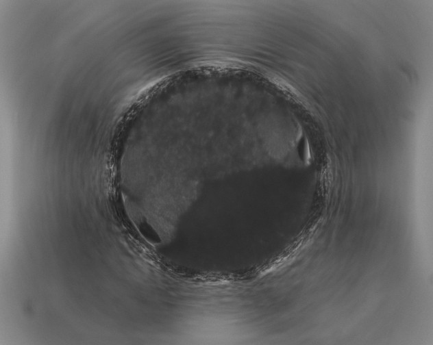 X0000113260822200909241520