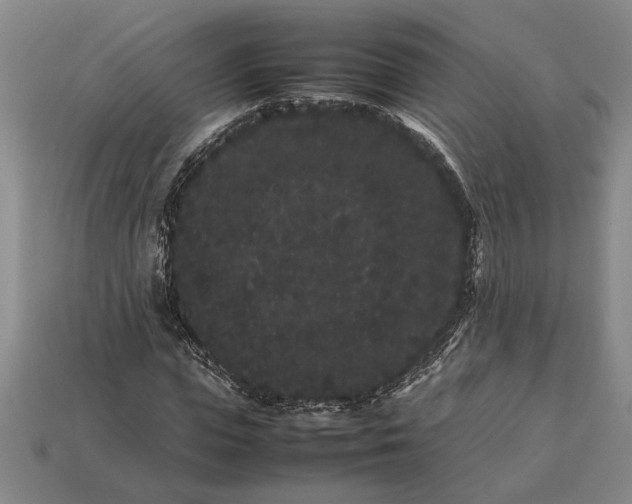 X0000113260823200909241520