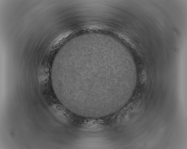 X0000113260824200909241520