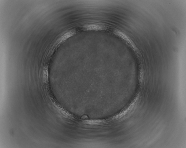 X0000113260825200909241520