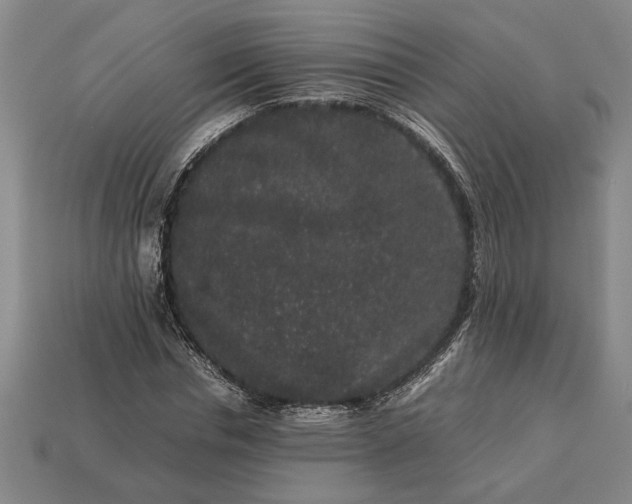 X0000113260826200909241520