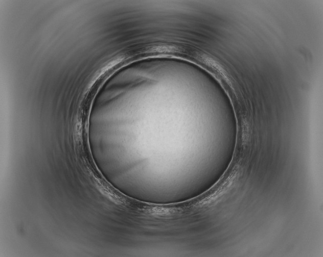 X0000113260827200909241520