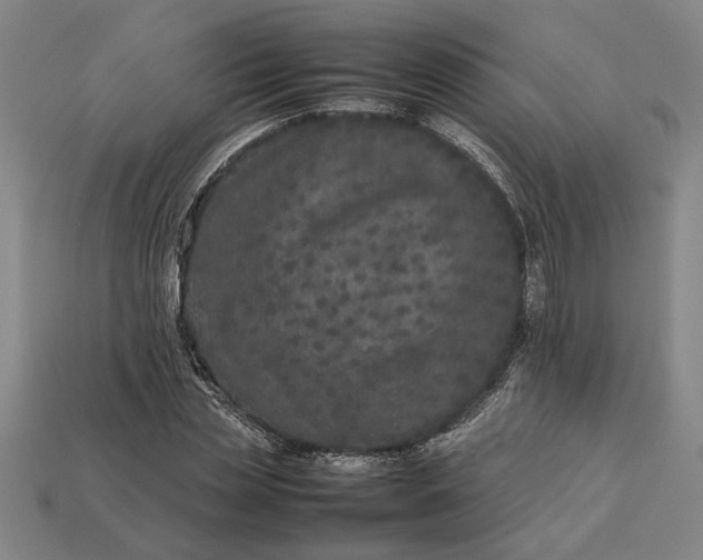 X0000113260829200909241520