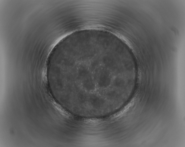 X0000113260830200909241520