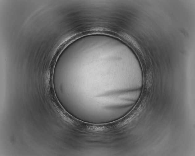 X0000113260831200909241520