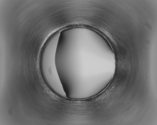 X0000113260832200909241520