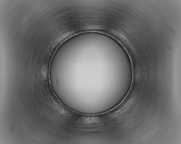 X0000113260833200909241520