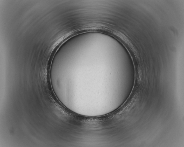 X0000113260834200909241520