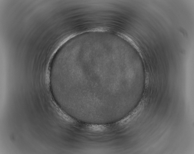 X0000113260835200909241520