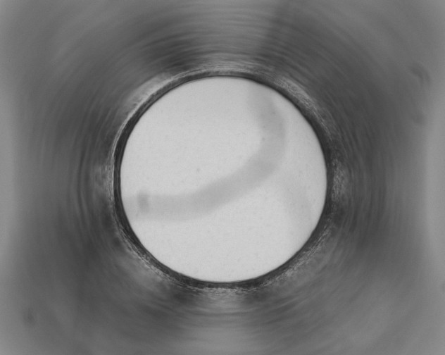 X0000113260836200909241520