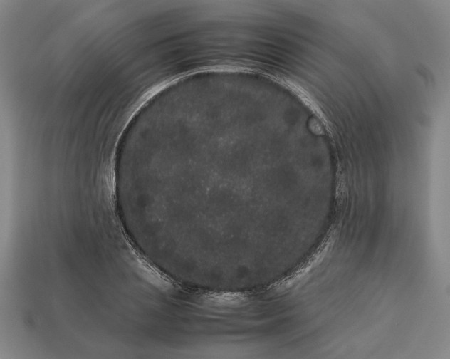 X0000113260837200909241520