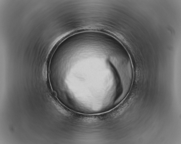 X0000113260838200909241520