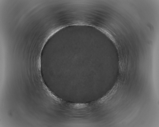 X0000113260839200909241520