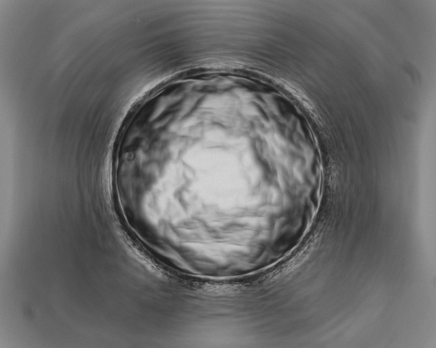 X0000113260840200909241520