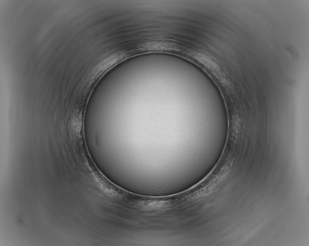 X0000113260841200909241520