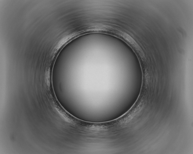 X0000113260842200909241520