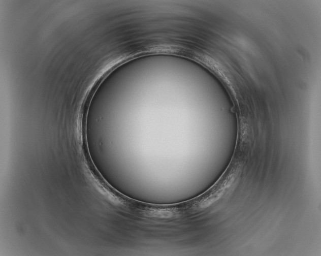 X0000113260843200909241520