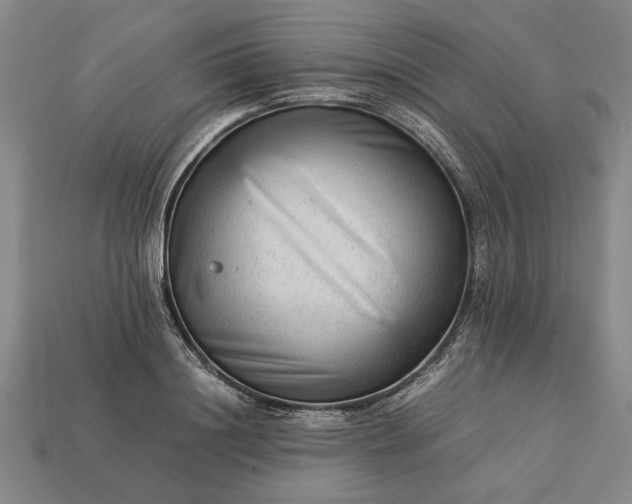 X0000113260844200909241521