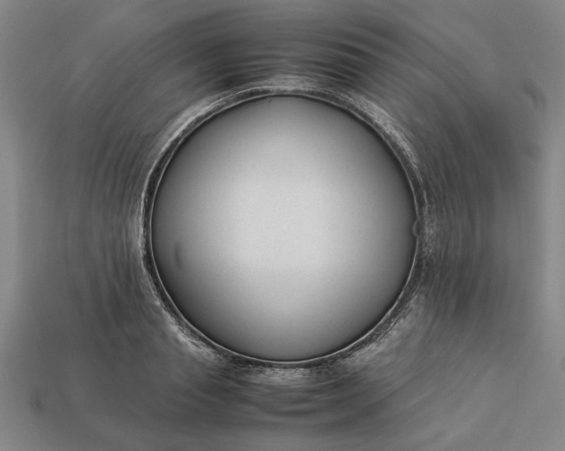 X0000113260845200909241521