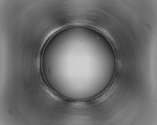 X0000113260846200909241521