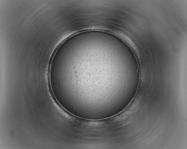 X0000113260847200909241521