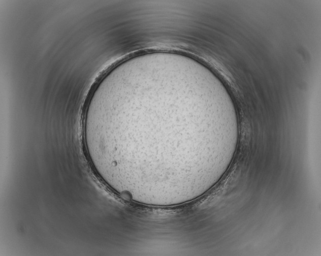 X0000113260848200909241521